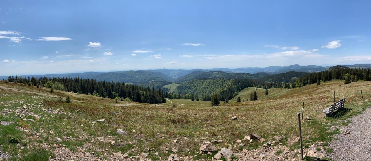 Feldberg Lounge - Residenz Grafenmatt公寓 外观 照片